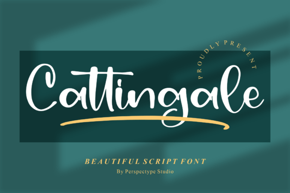 Cattingale Font: A Script Handwritten Typeface for Creative Campaigns