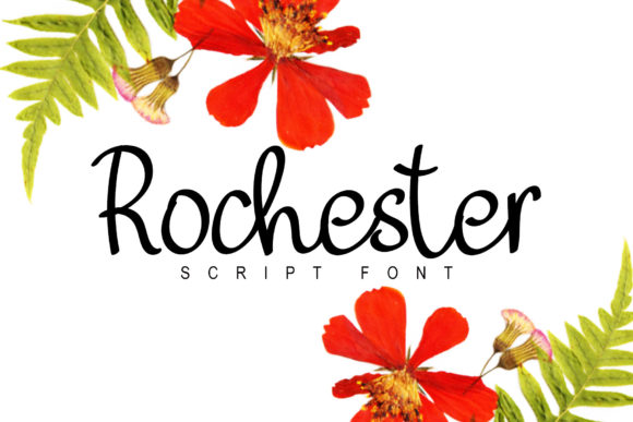 Rochester Font Review