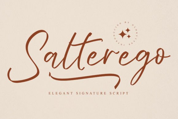 Salterego Font: The Signature Script for Standout Campaigns